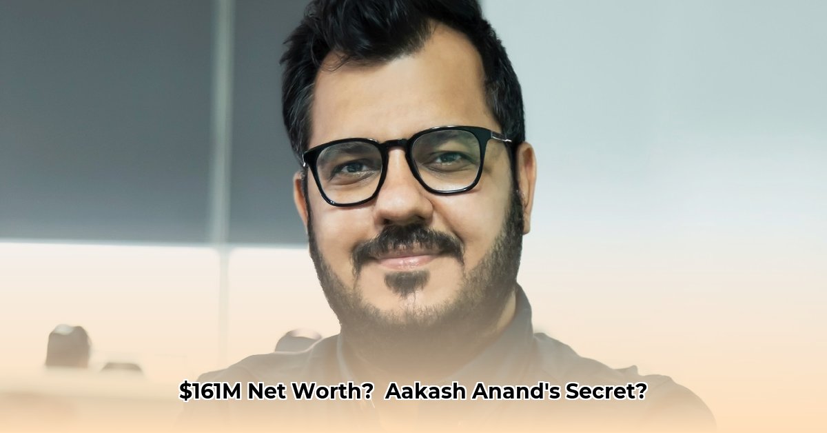 aakash-anand-bella-vita-net-worth